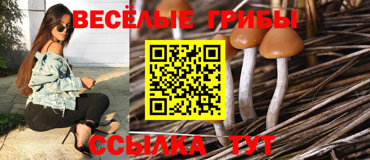 Галлюциногенные грибы ЛСД  Вход с VPN  Саки  Галлюциногенные грибы прущие грибы 