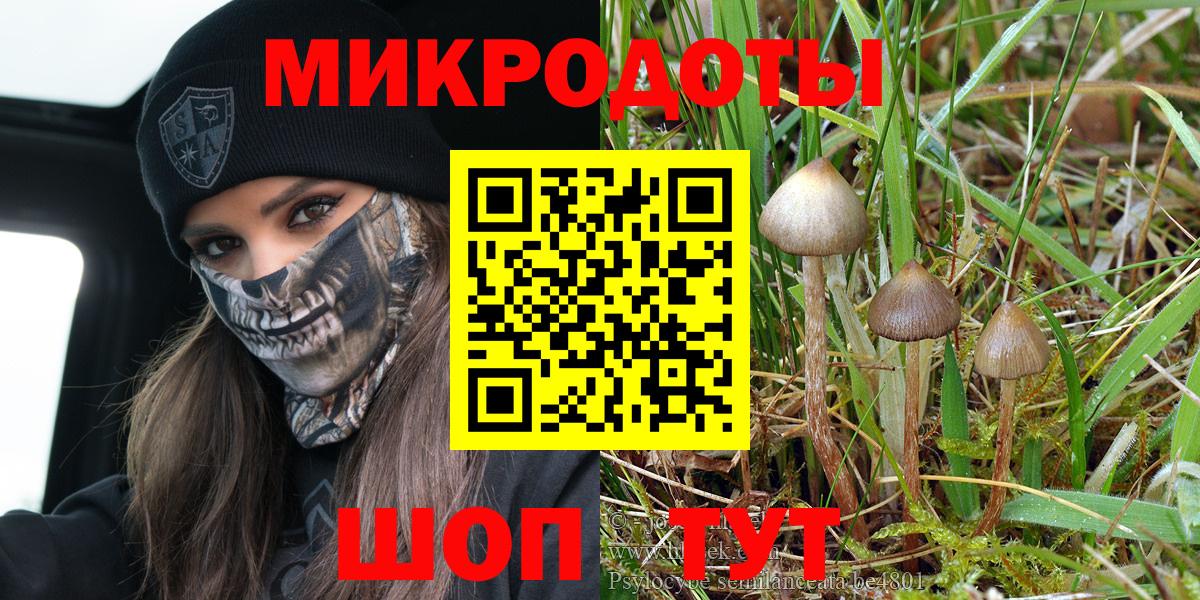Галлюциногенные грибы мухоморы Саки